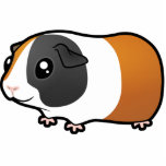 Cartoon Guinea Pig (smooth hair) photo sculptures