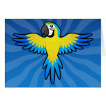 Cartoon Macaw / Parrot
