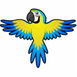 Cartoon Macaw / Parrot photo sculptures