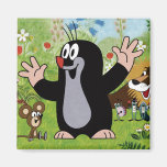 cartoon magnet