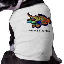 Cartoon Mandarin / Dragonet Fish