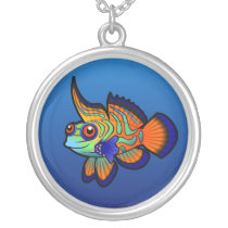 Cartoon Mandarin / Dragonet Fish