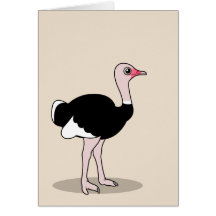 Cartoon Ostrich Cards
