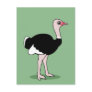 Cartoon Ostrich Post Card