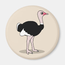 Cartoon Ostrich Refrigerator Magnets