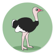 Cartoon Ostrich Round Sticker