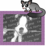 Cartoon Sugar Glider photo sculptures