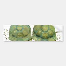 Cartoon Turtles Bumper Sticker