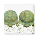 Cartoon Turtles Magnet
