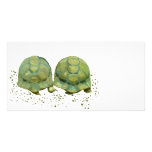 Cartoon Turtles Photo Card photo cards