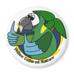 Cartoon Yellow Collared Macaw magnets