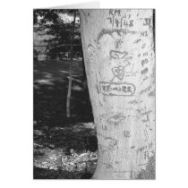 Carving on birch tree trunk B&W cards