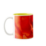 Cary Grant mugs