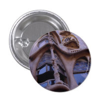 Casa Batllo, Barcelona, Spain Pin
