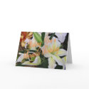 Casa Blanca Lily BD 130 z cards