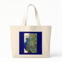 Casanova bags