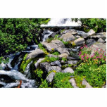 Cascade - Mt. Rainier National Park Acrylic Cut Outs