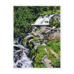 Cascade - Mt. Rainier National Park Postcards