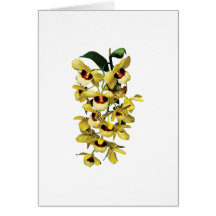 Cascade Yellow Orchids Card