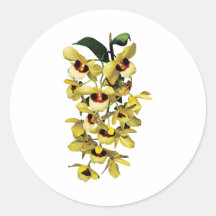 Cascade Yellow Orchids Sticker