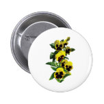 Cascade Yellow Pansies Button