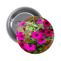 Cascading Purple Petunias Pins