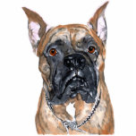 Cash the Boxer Sculpture photo sculptures