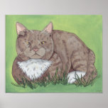 Cashmir in the Grass posters