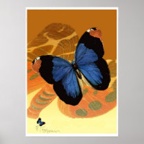 Caspian Blue Butterflies on orange cream wings Print