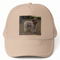 casquette lagotto-romagnolo