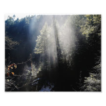 Casting Rays 10x8 Photographic Print