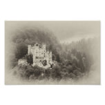 Castle In The Trees Photo