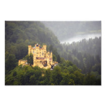 Castle inThe Trees