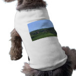 Castle Ruins Pet Clothes