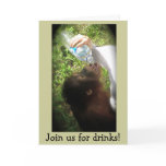 Casual Get Together Cocktail Party invitation cards