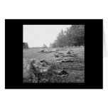 Casualties During the Battle of Gettysburg 1863 cards