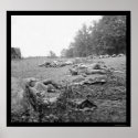 Casualties During the Battle of Gettysburg 1863 posters