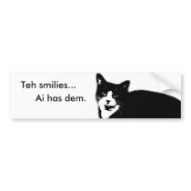 Cat2