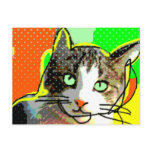 cat 02 cartoes postais