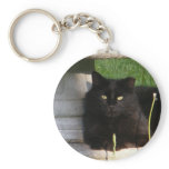Cat 120 ~ keychain