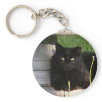 Cat 120 ~ keychain