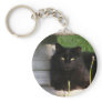 Cat 120 ~ keychain