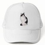 Cat 12, Hat