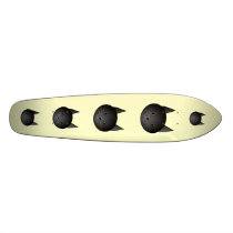 Cat. Adorable black kitty. Skateboard Decks