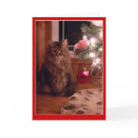Cat and Christmas tree ornaments greeting card