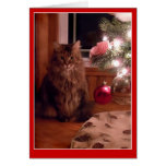 Cat and Christmas tree ornaments greeting card