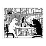 Cat and Dog in the Library Postcard