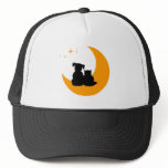 Cat and Dog Pets hat