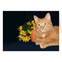 Cat and flowers card