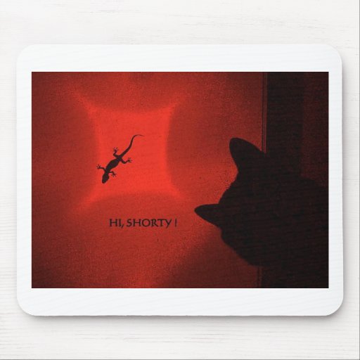 CAT AND GECKO 3 MULTICOLORED MOUSE PAD
